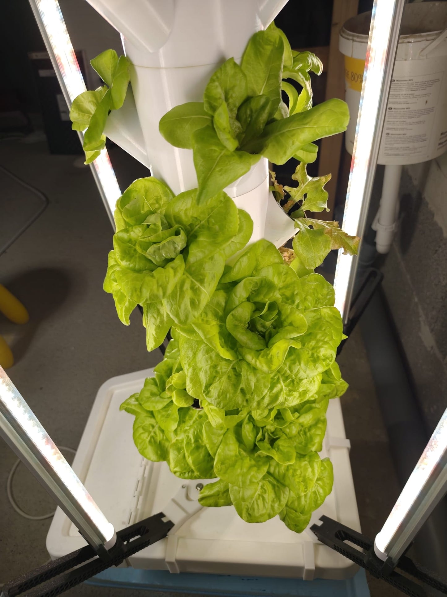 GrowTower 37 Hydroponik-System – Detailansicht Pflanzplätze mit Netztöpfen